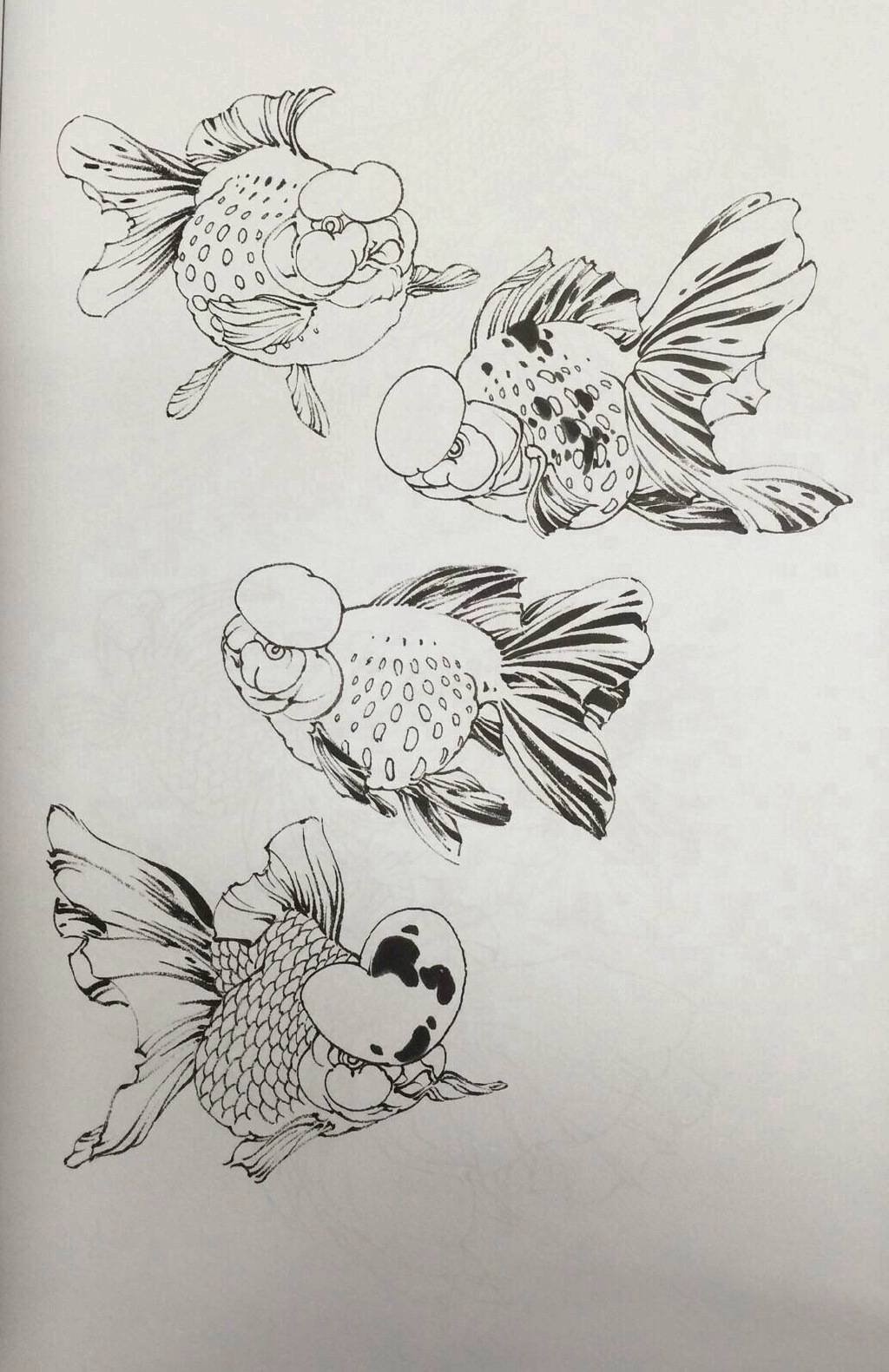 白描金鱼的画法 生动的线条