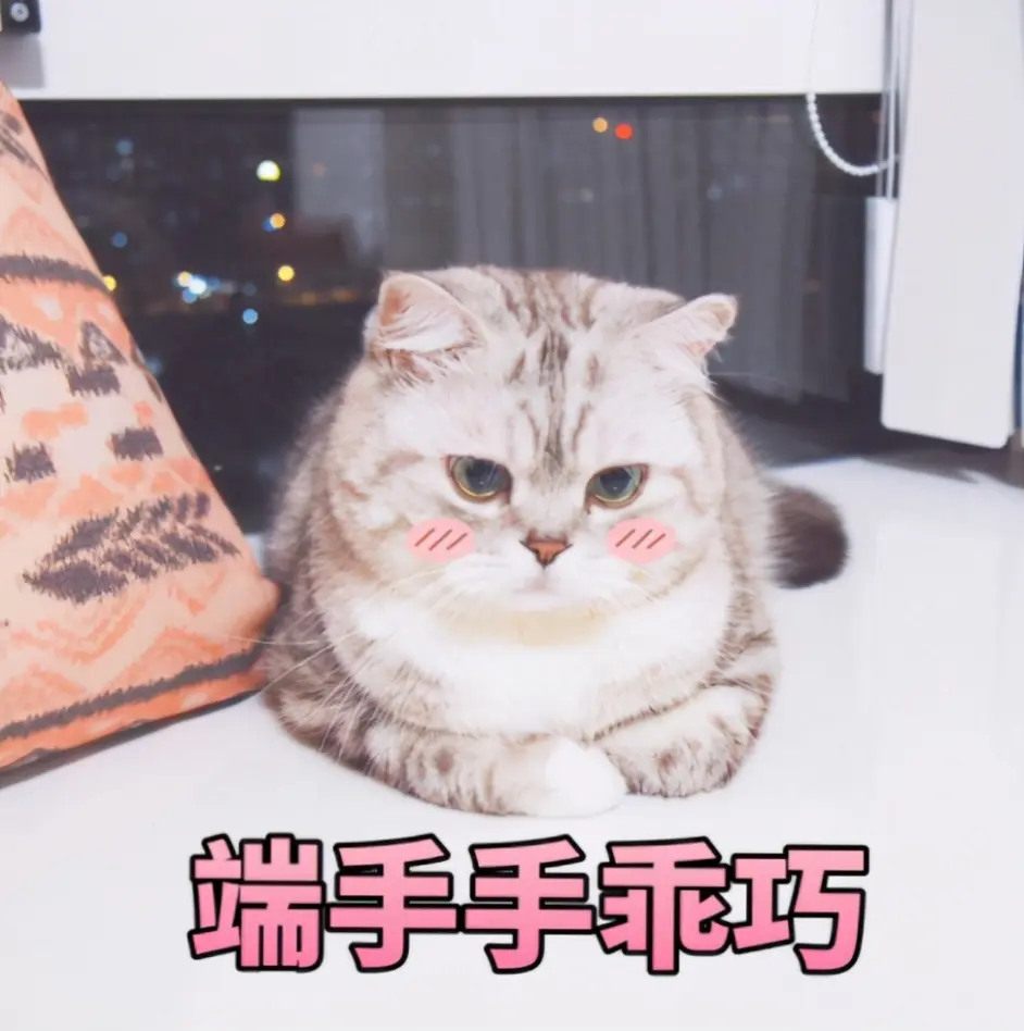 猫咪的13个小秘密 养猫多年的人 也未必知道 哔哩哔哩 猫咪的13个小秘密 养猫多年的人 也未必知道 哔哩哔哩