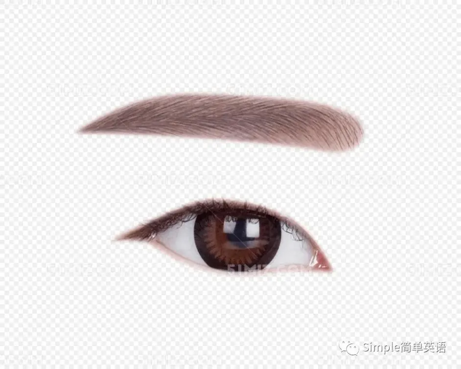 你的五官 Your Facial Features 哔哩哔哩