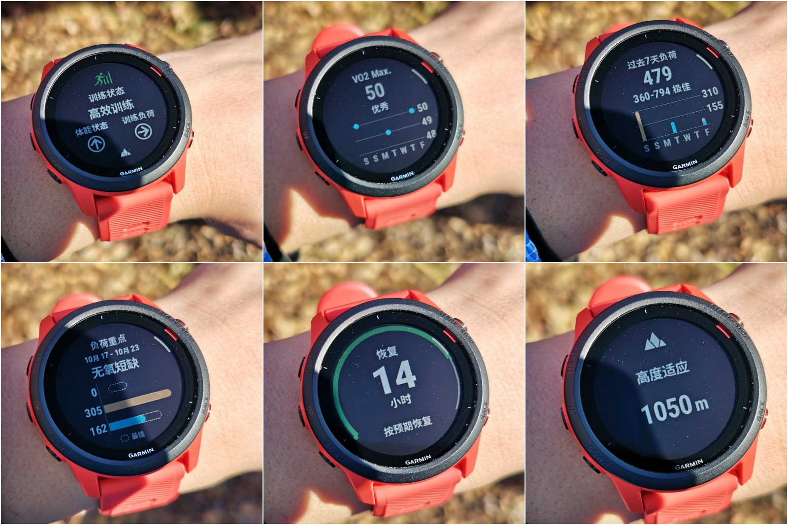 体育课堂丨把控运动负荷安全健身(图1)