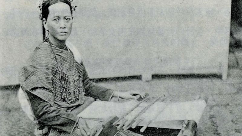 麻與南島語族 哔哩哔哩