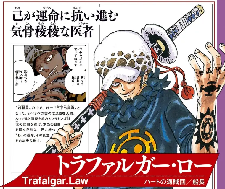 海贼王官方情报 罗抗拒自己命运 他的文身是在纪念柯拉松 哔哩哔哩 海贼王官方情报 罗抗拒自己命运 他的文身是在纪念柯拉松 哔哩哔哩