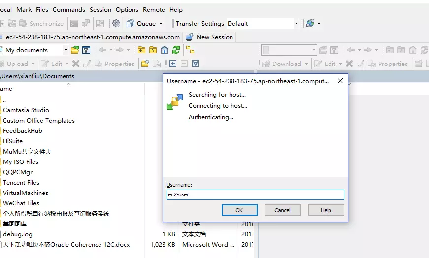  winscp private key 