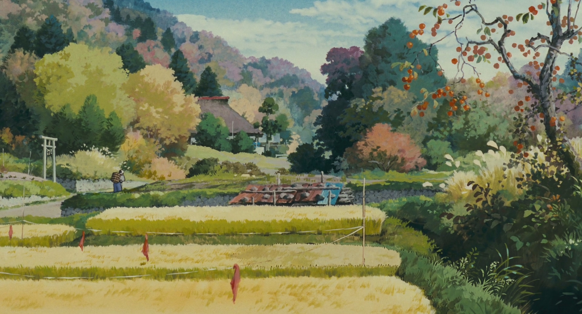 说动漫丨平成狸合战