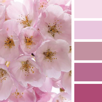 柔和色系40种配色超级实用