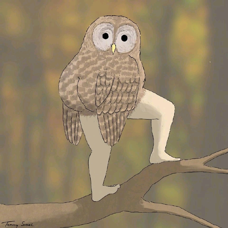 Tommy Siegel Accurate Birds Calendar