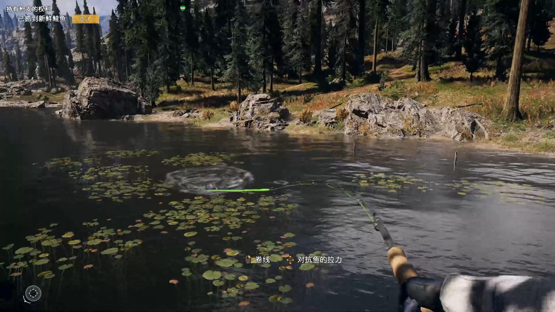 《孤岛惊魂5》玩后感