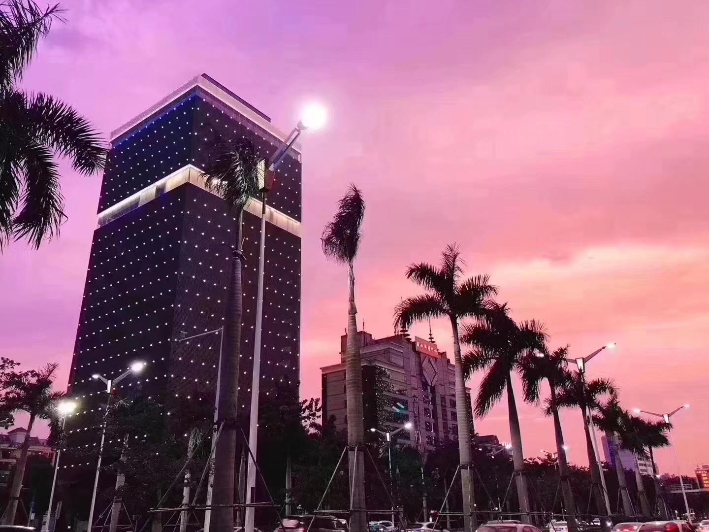 南宁山竹吹出来的美景