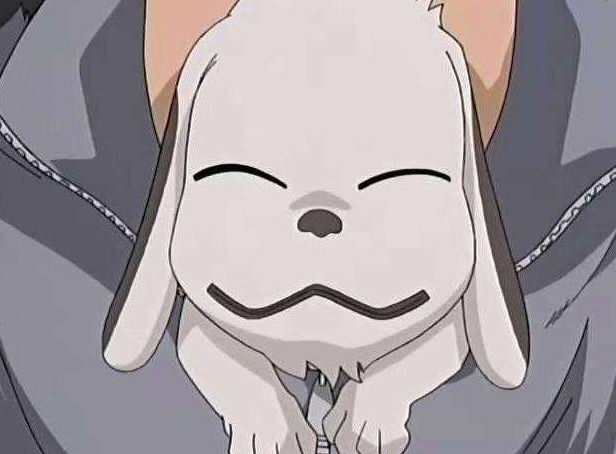 花园的现任王女,和风铃艾苏米组成搭档,能够与其一起变身成为地球天使