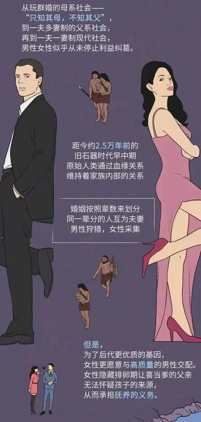 其他动物都有发情期为何人类全年无休4