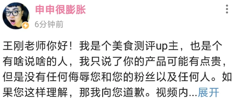 关于申申测评王刚冷吃牛肉事件的一些感想 - 哔哩哔哩