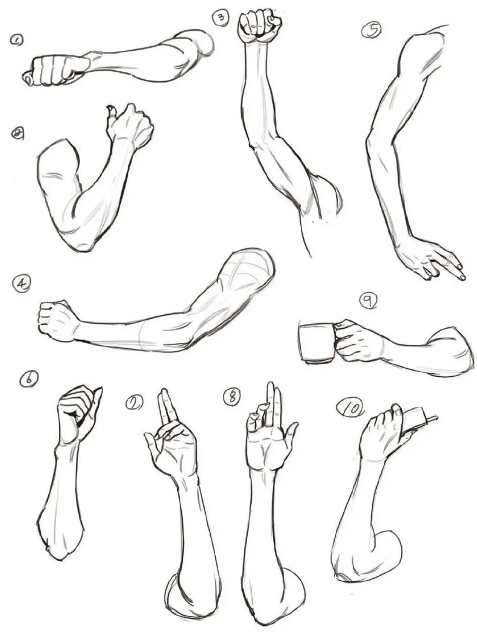 一组手臂素材参考