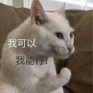 非腐慎入，甜宠微耽：小狐狸和道士的幸福生活