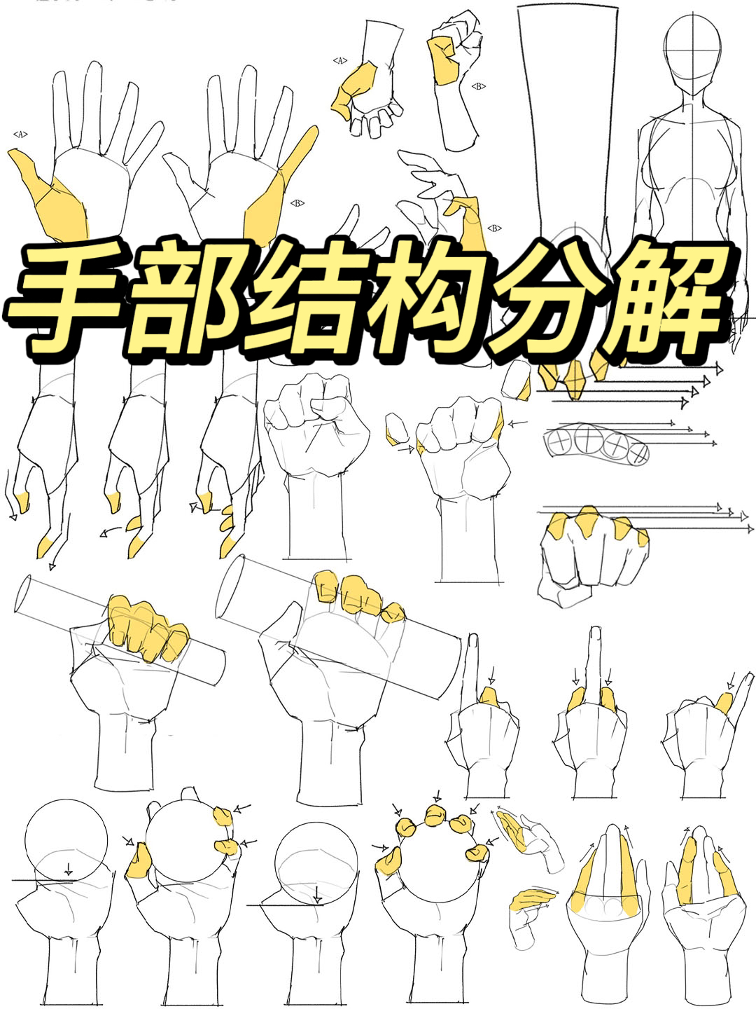 【绘画素材】十级保姆级手部结构教程线稿图！！ - 哔哩哔哩