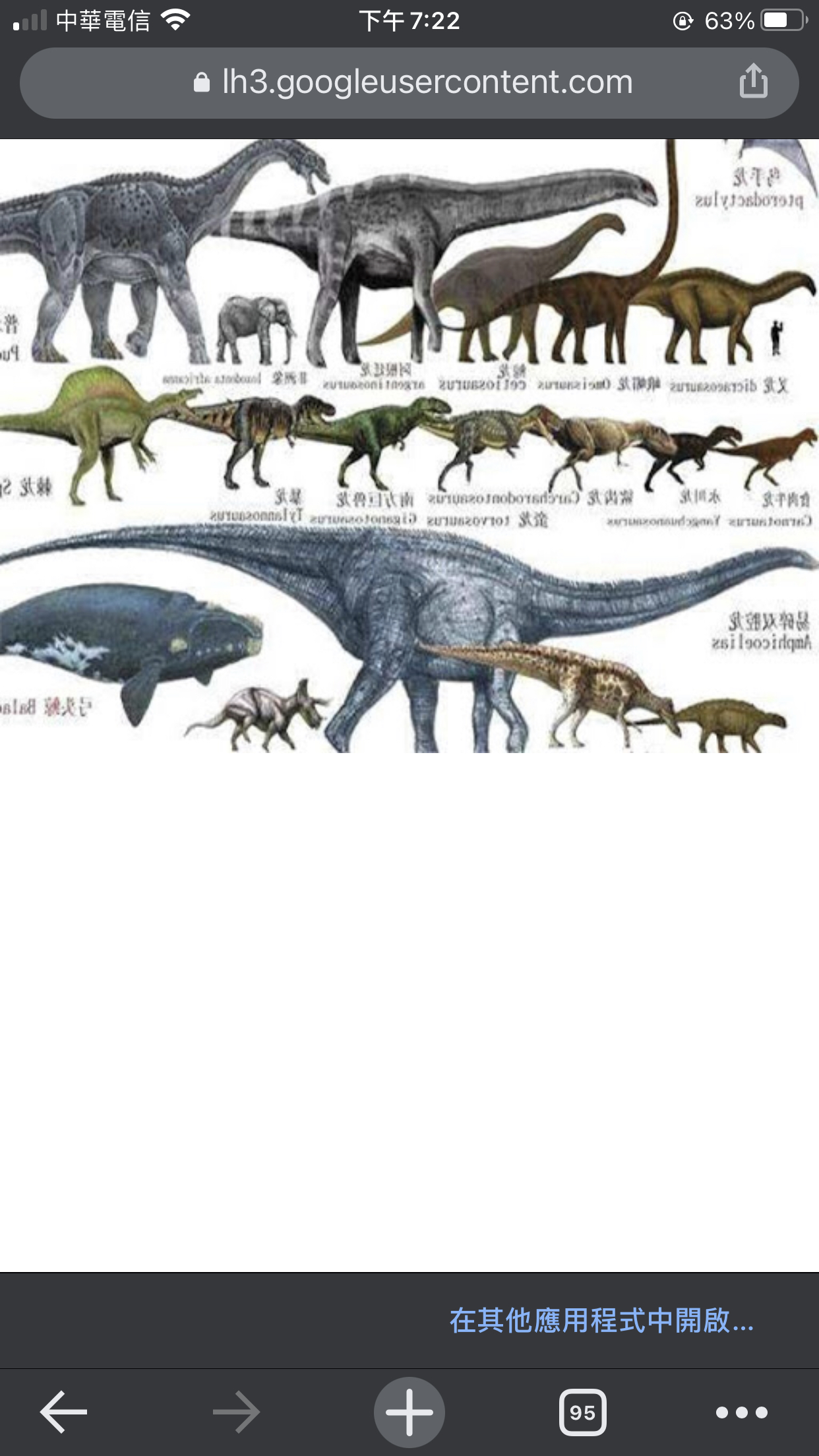 恐龙的种类有哪些？ - 知乎
