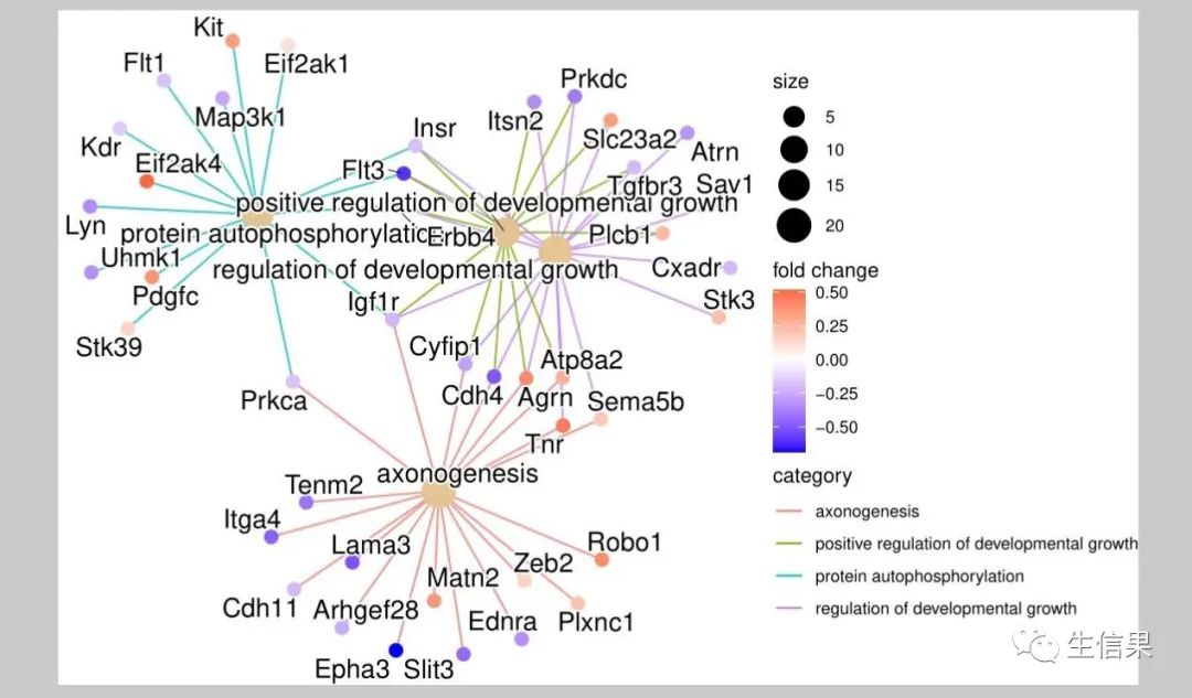 模式物种进行GO富集分析绘图 - 哔哩哔哩