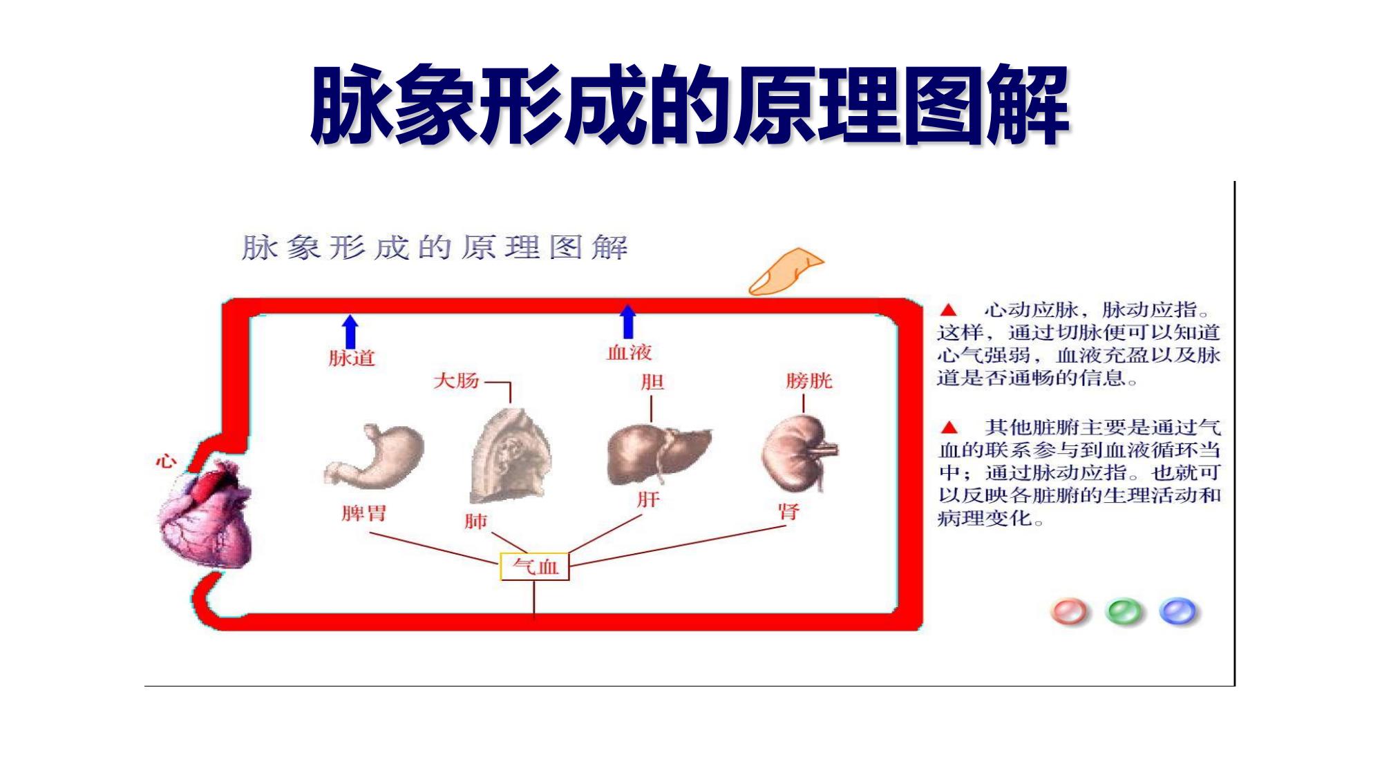 从零开始学中医:脉诊概述 - 哔哩哔哩