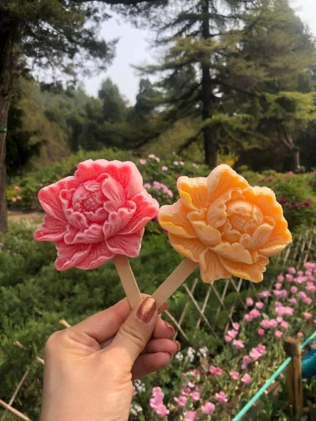 一边吃着牡丹花雪糕,一边游园, 所谓快活,不过如此.