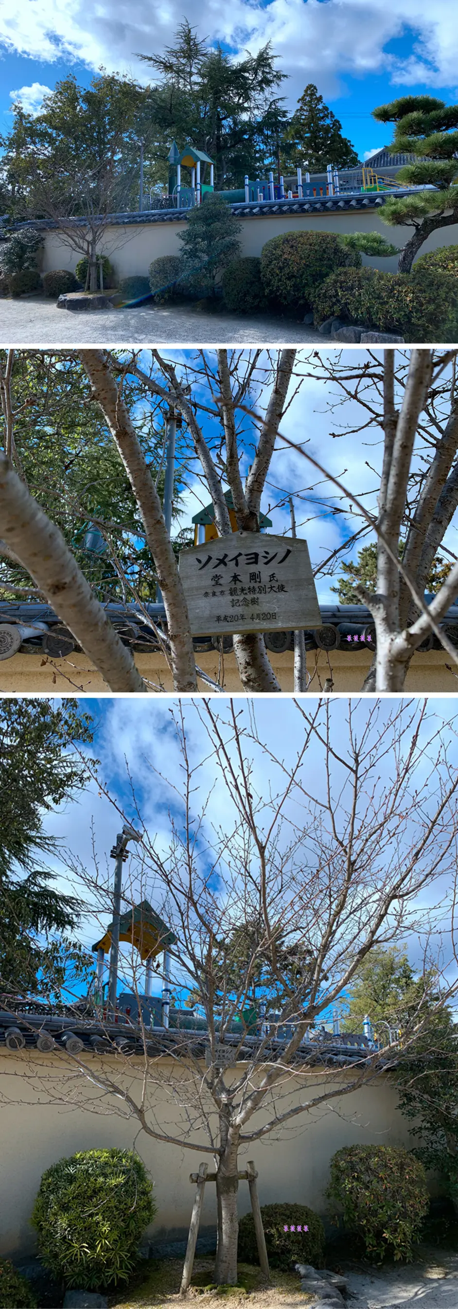 Kinki Kids 堂本家专供关西 京都 奈良 大阪 旅行攻略之 四 哔哩哔哩