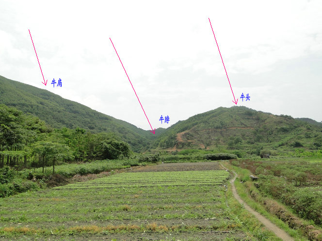 实拍风水太极晕图片