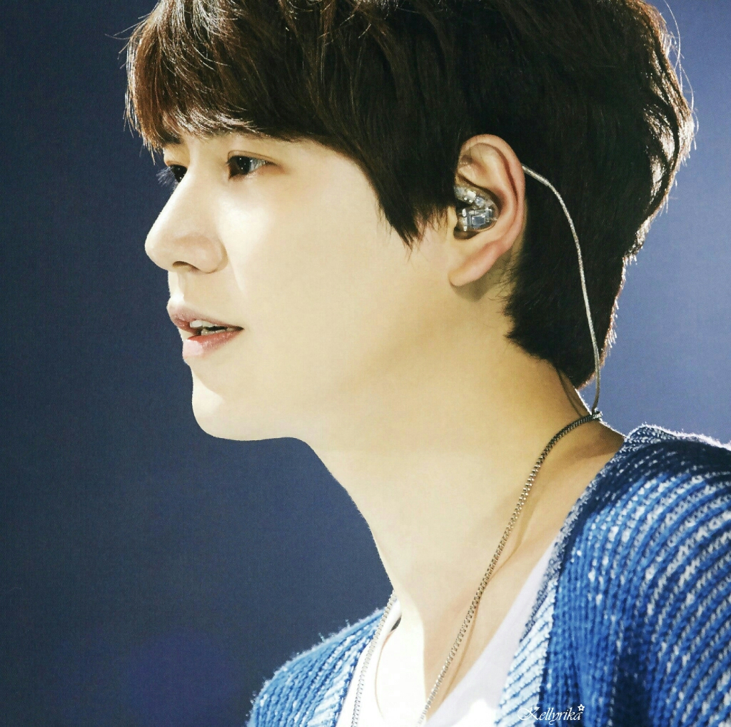 Super Junior不老,E.L.F是你们坚实的后盾