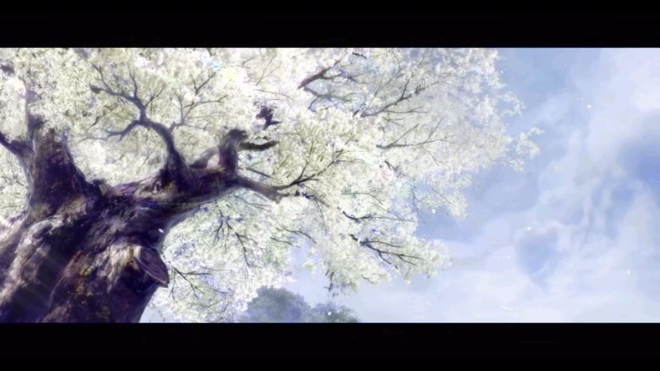 忘羡事忆录（三）