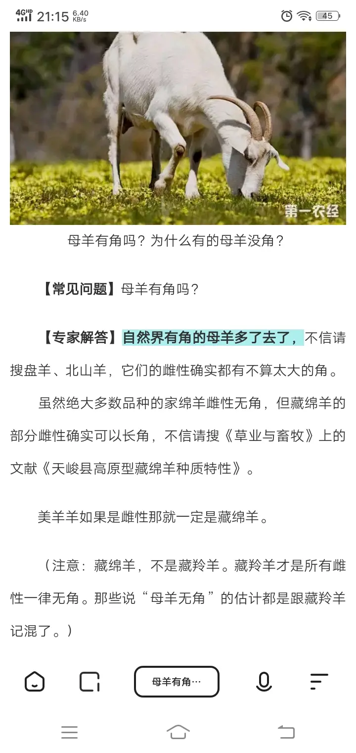 辟谣科普向 母羊没有角 藏绵羊表示反对 哔哩哔哩