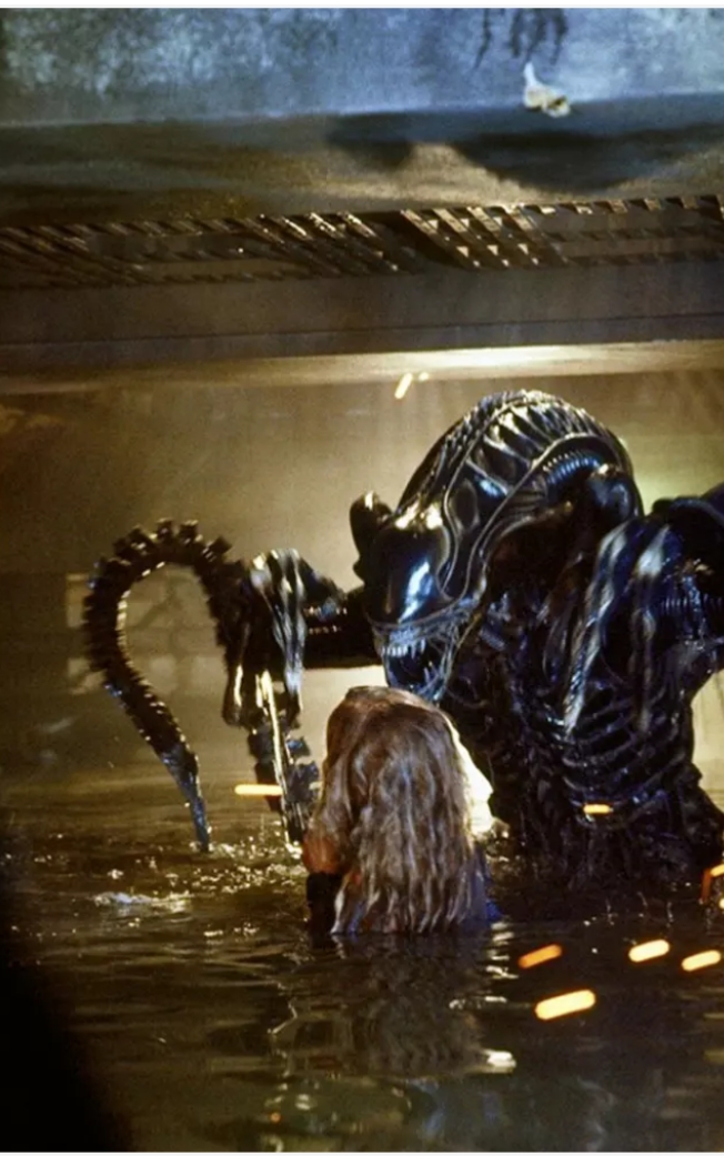 盘点电影中异形的种类(成年体)