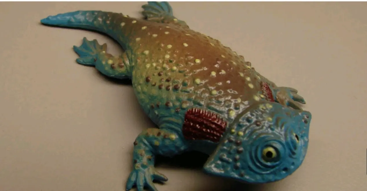 古生代两栖动物玩具 - 哔哩哔哩