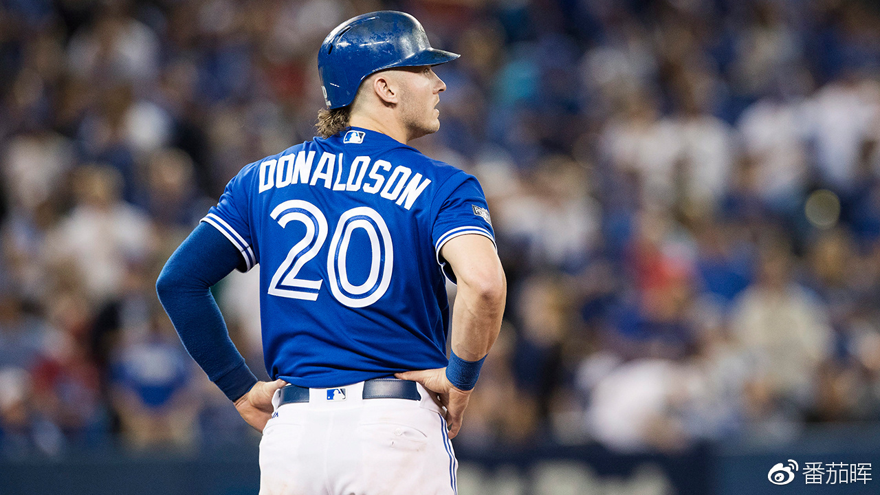 【30天30队】多伦多蓝鸟 新老交替志在未来