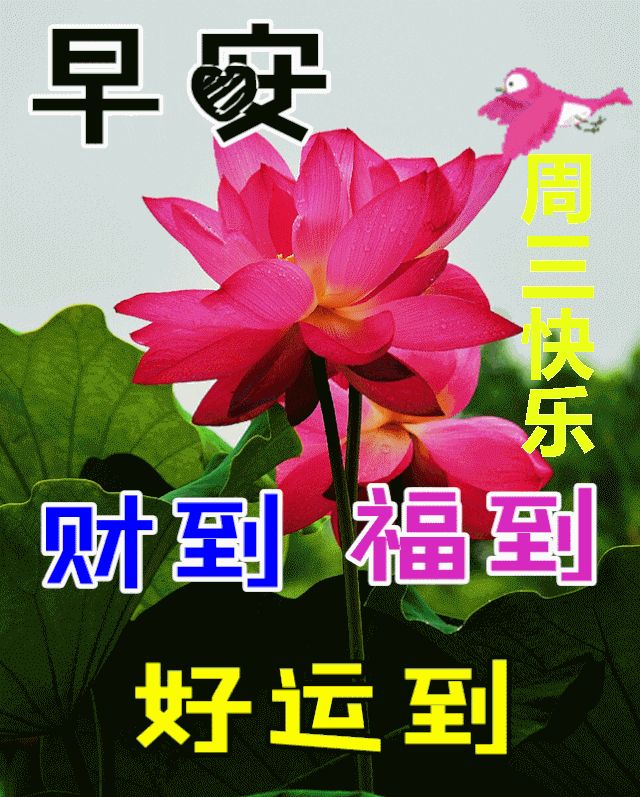 8月16日周三早上好最新版早安祝福语图片 哔哩哔哩