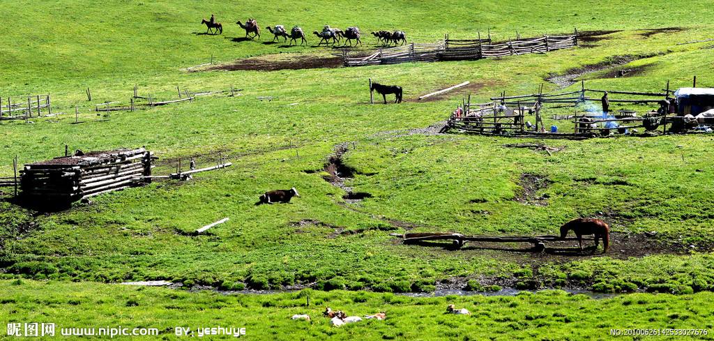 西方那些年:古代的游牧民族主要来自何方?
