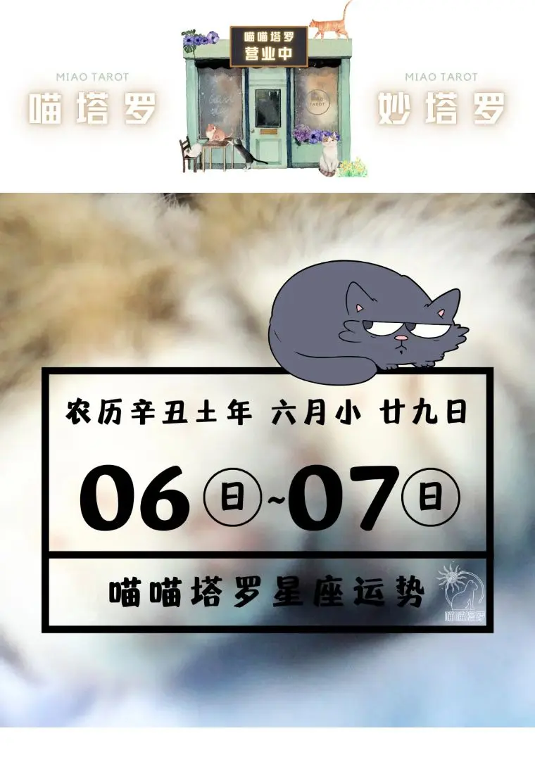 喵喵塔罗 十二星座运势 8月6日 8月7日 哔哩哔哩