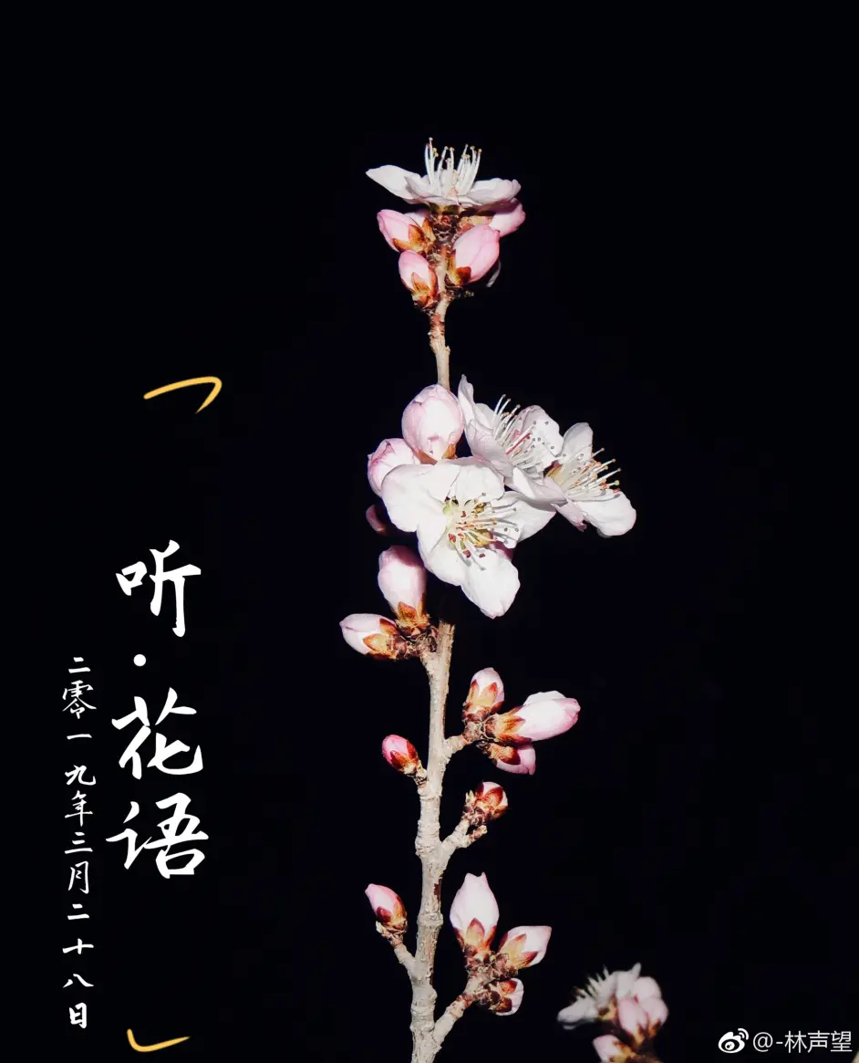 听 花语 春天与冬天 那些在我们身边被我们错过的美景 哔哩哔哩