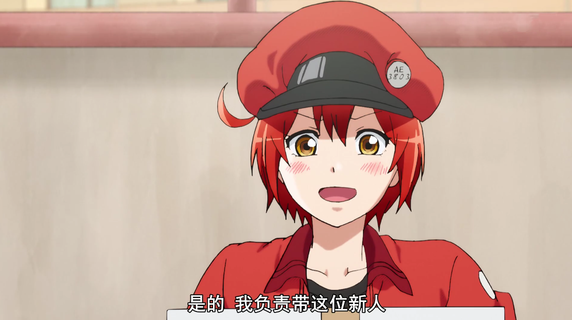 第六位:红细胞(ae3803),《工作细胞》