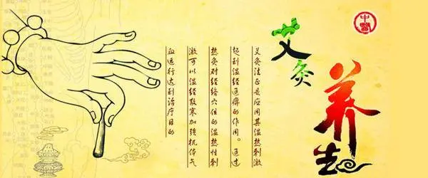 百龄灸耳灸仪 打造新型灸疗 灸出幸福人生 哔哩哔哩