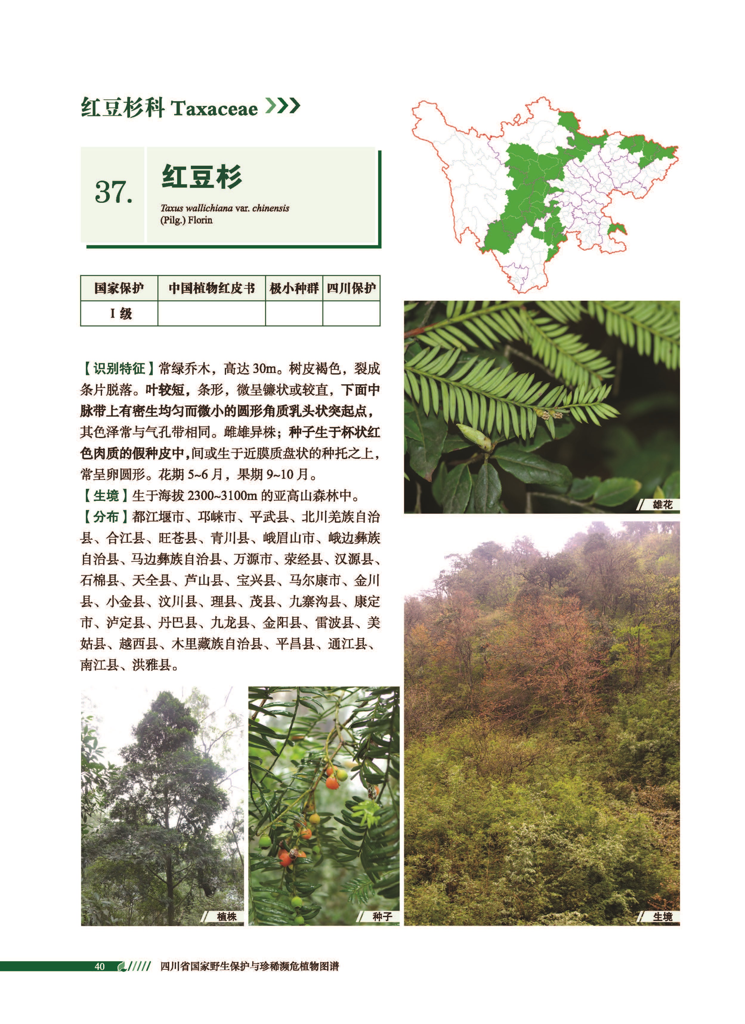中国野生植物保护 - 中国履行《全球植物保护战略》进展报告结论和建议-中国野生植物保护协会