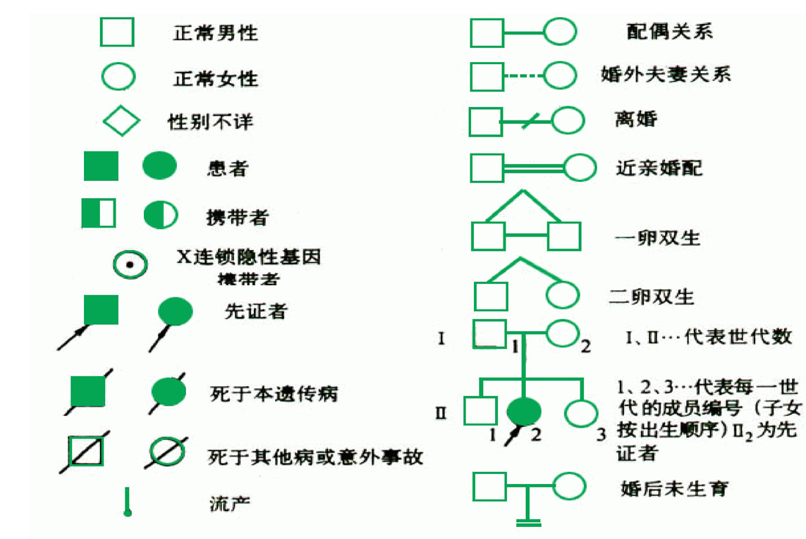 系譜圖常用符號