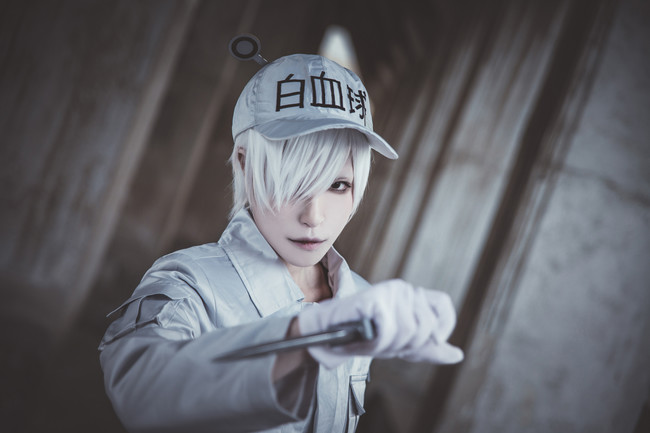 工作细胞cosplay合集(主推血小板)