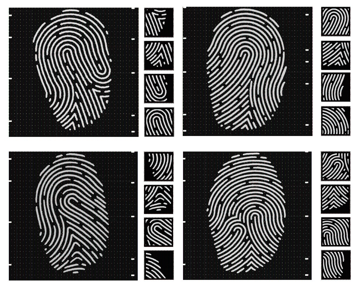 《gta:ol》名钻赌场豪劫任务全解:兵不厌诈——除虫大师