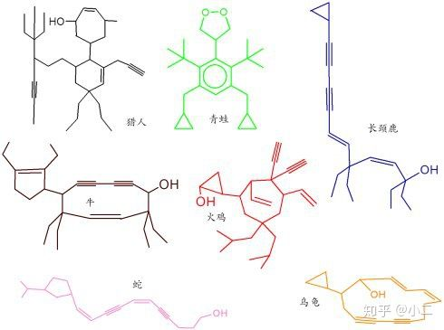 有机合成的苦中作乐——人形分子大家族的诞生 - 哔哩哔哩