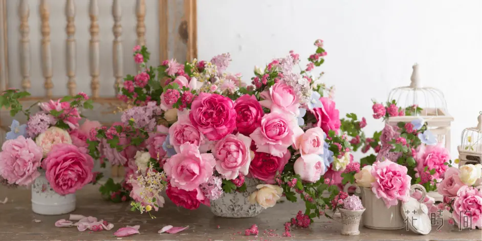 日语四字熟语 基本篇01単刀直入 哔哩哔哩