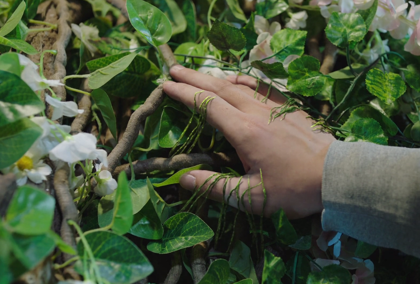 司藤司藤变回藤身藤须触摸成亮点秦放被抓机智留线索