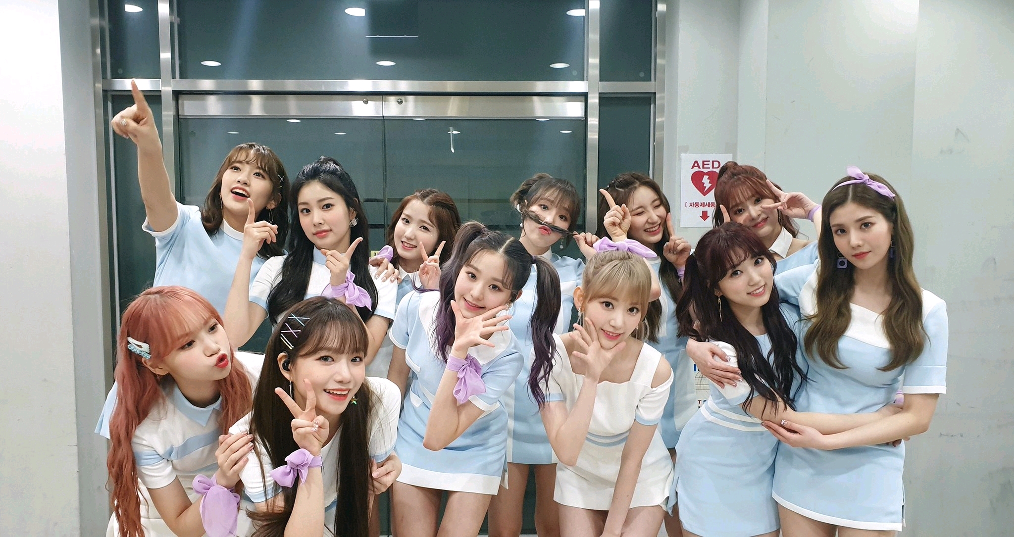 izone回归大发我们丸走花路吧