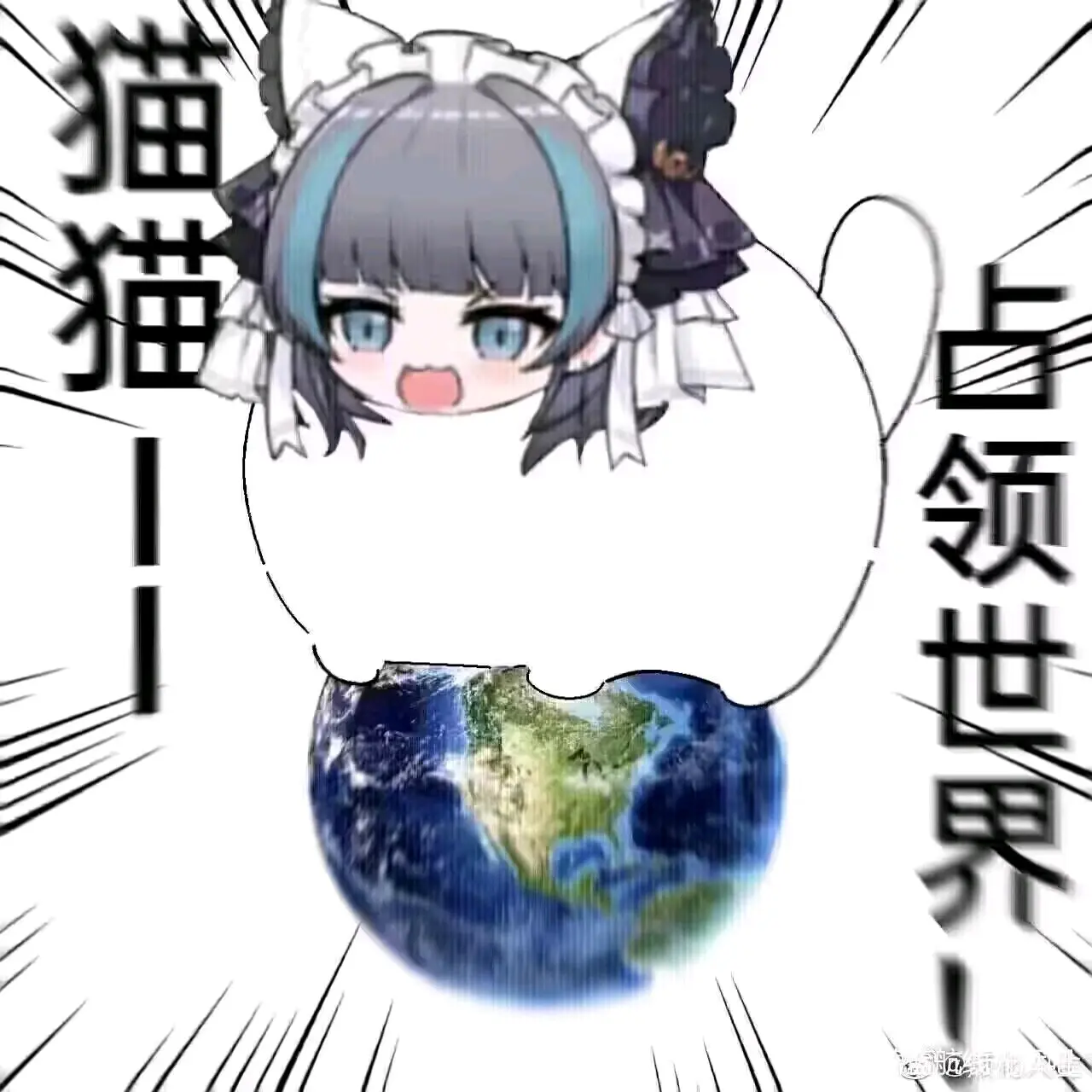 柴郡猫猫第三弹——猫猫统治世界!