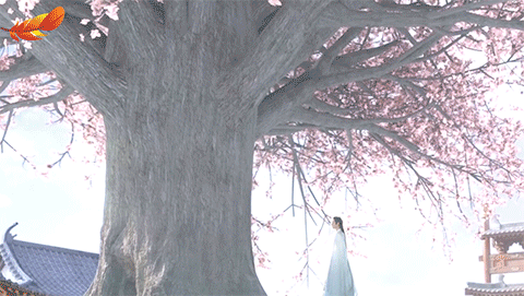 480_271gif 动态图 动图