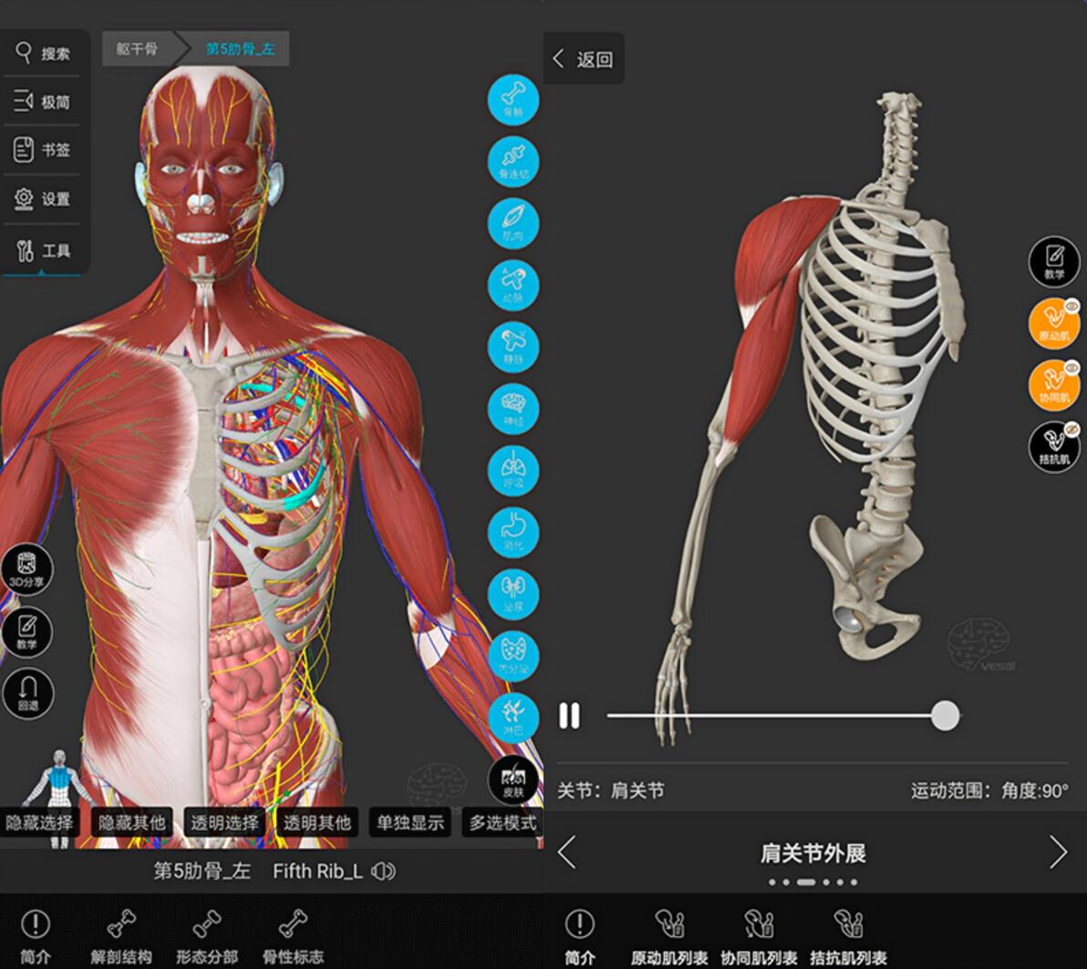 【解剖学习软件】解剖大师app——国内唯一的3D人体解剖与运动康复平台 - 哔哩哔哩