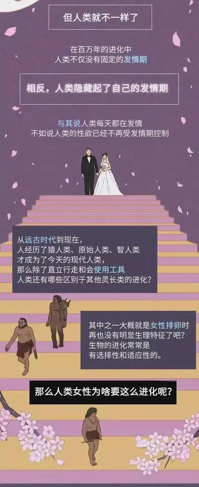 其他动物都有发情期为何人类全年无休3