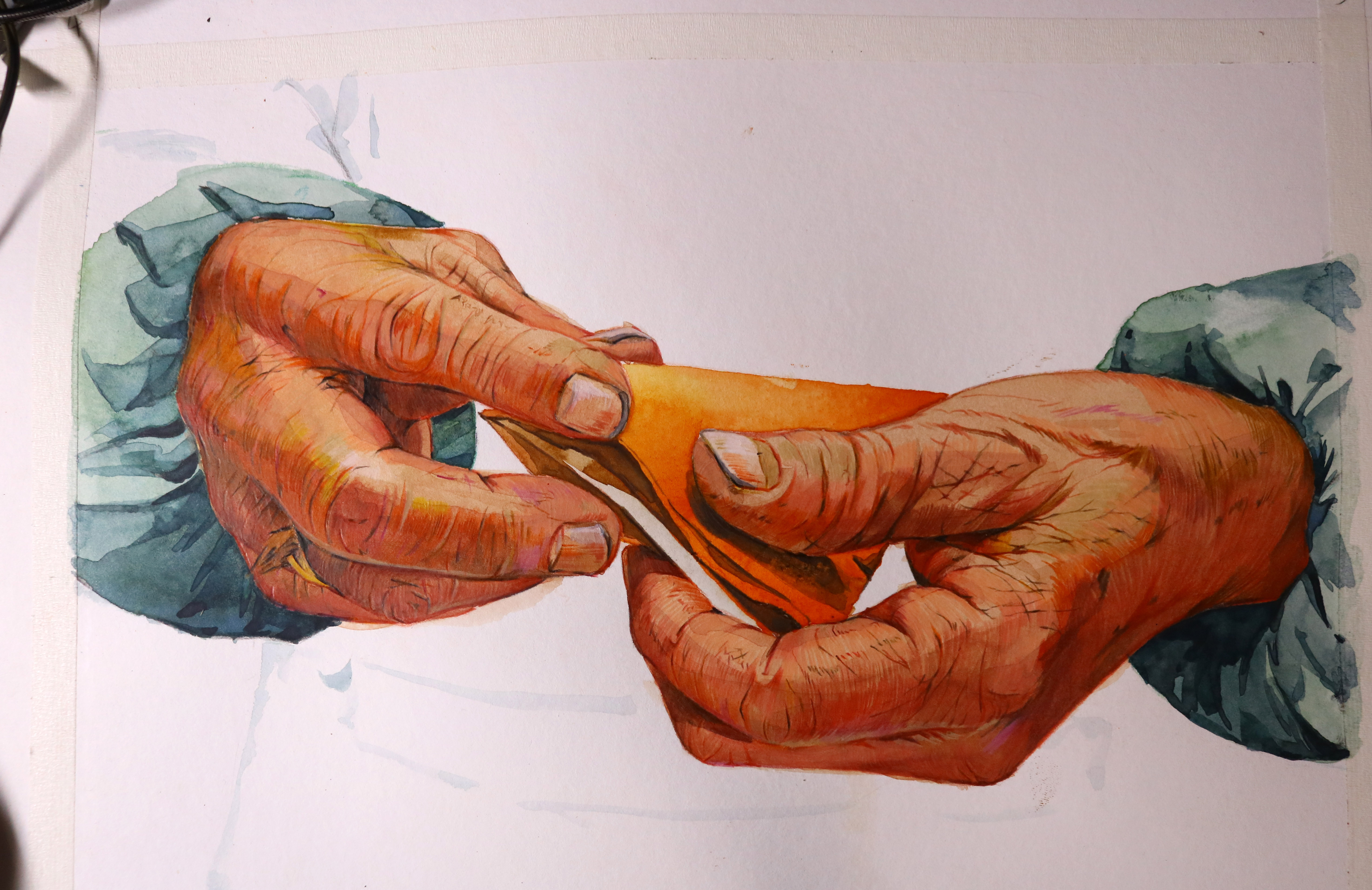 老年人手部质感教程【水彩 彩铅】