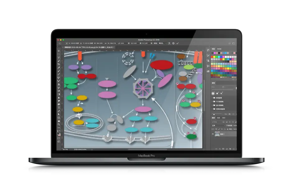 教你用ai绘制 Cst 家的信号通路图 哔哩哔哩